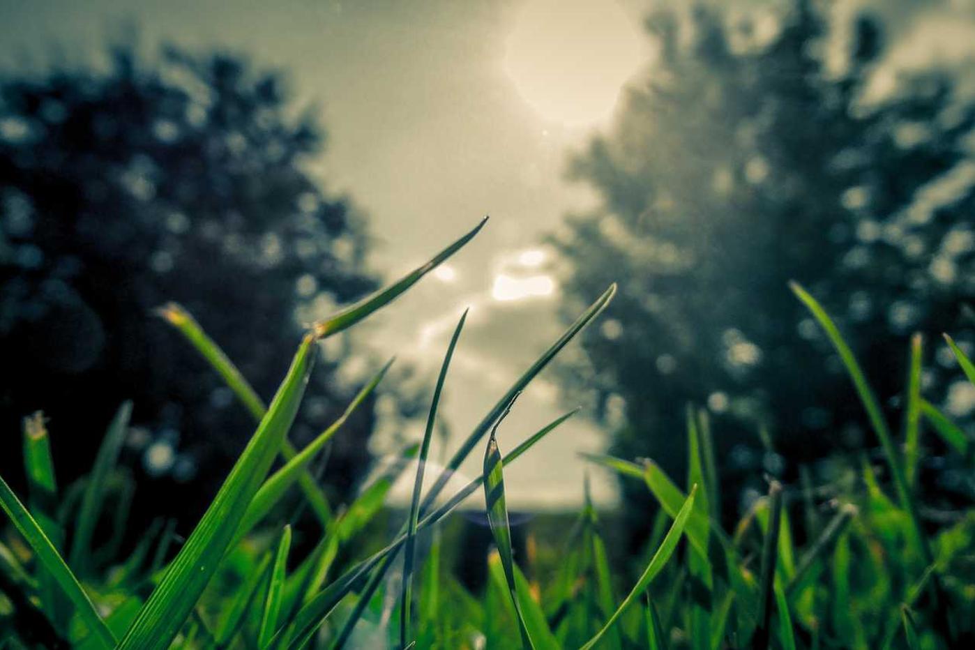 Omnis repellat nobis est sunt